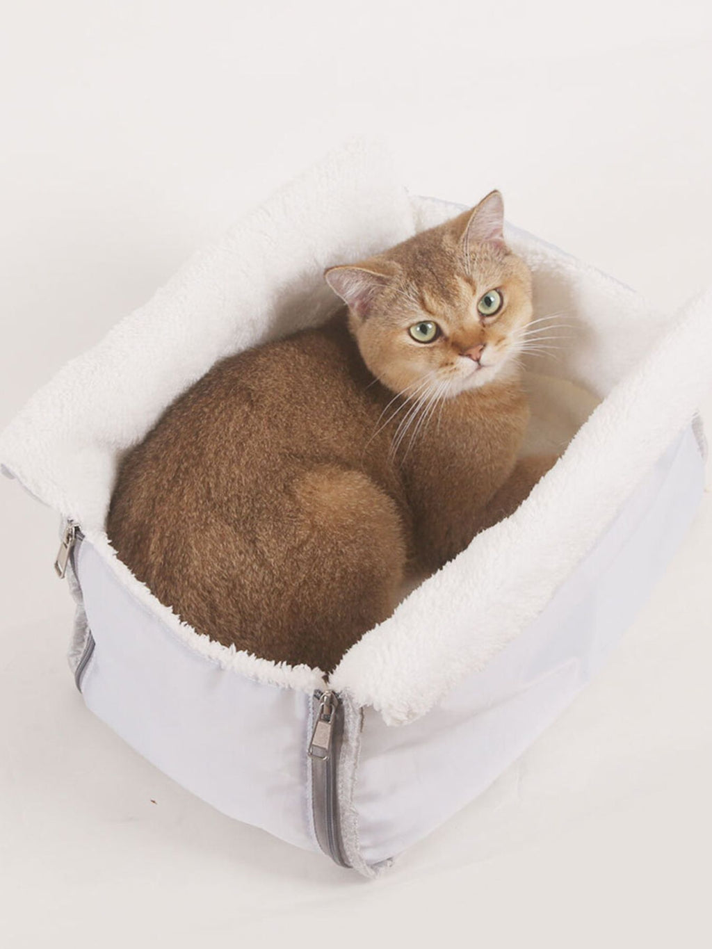 Pet carrier bag with plush removable-style bedding (liner), cat resting inside, white.