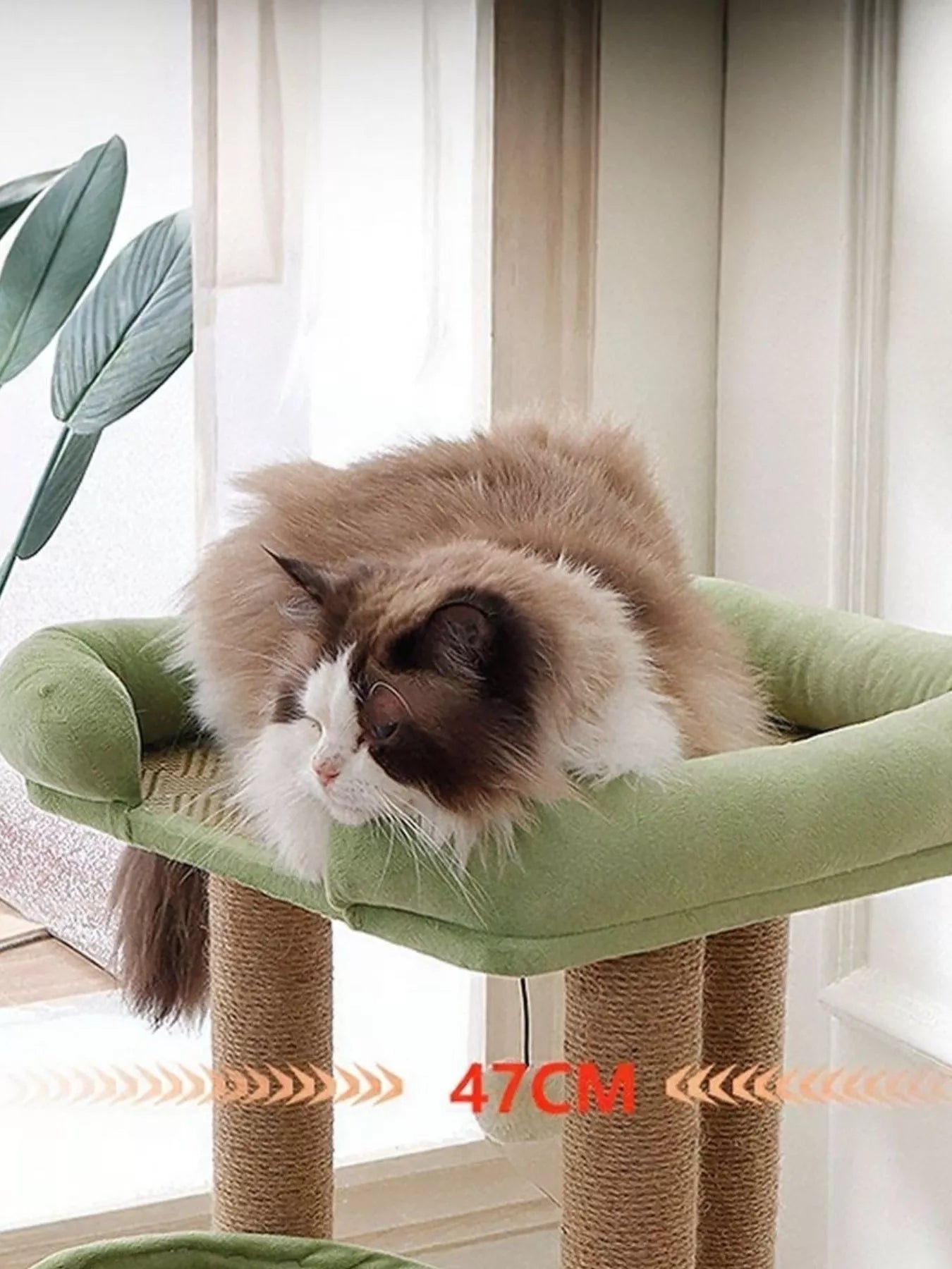 Green cushioned cat perch on plush cat tree with sisal-wrapped scratching posts