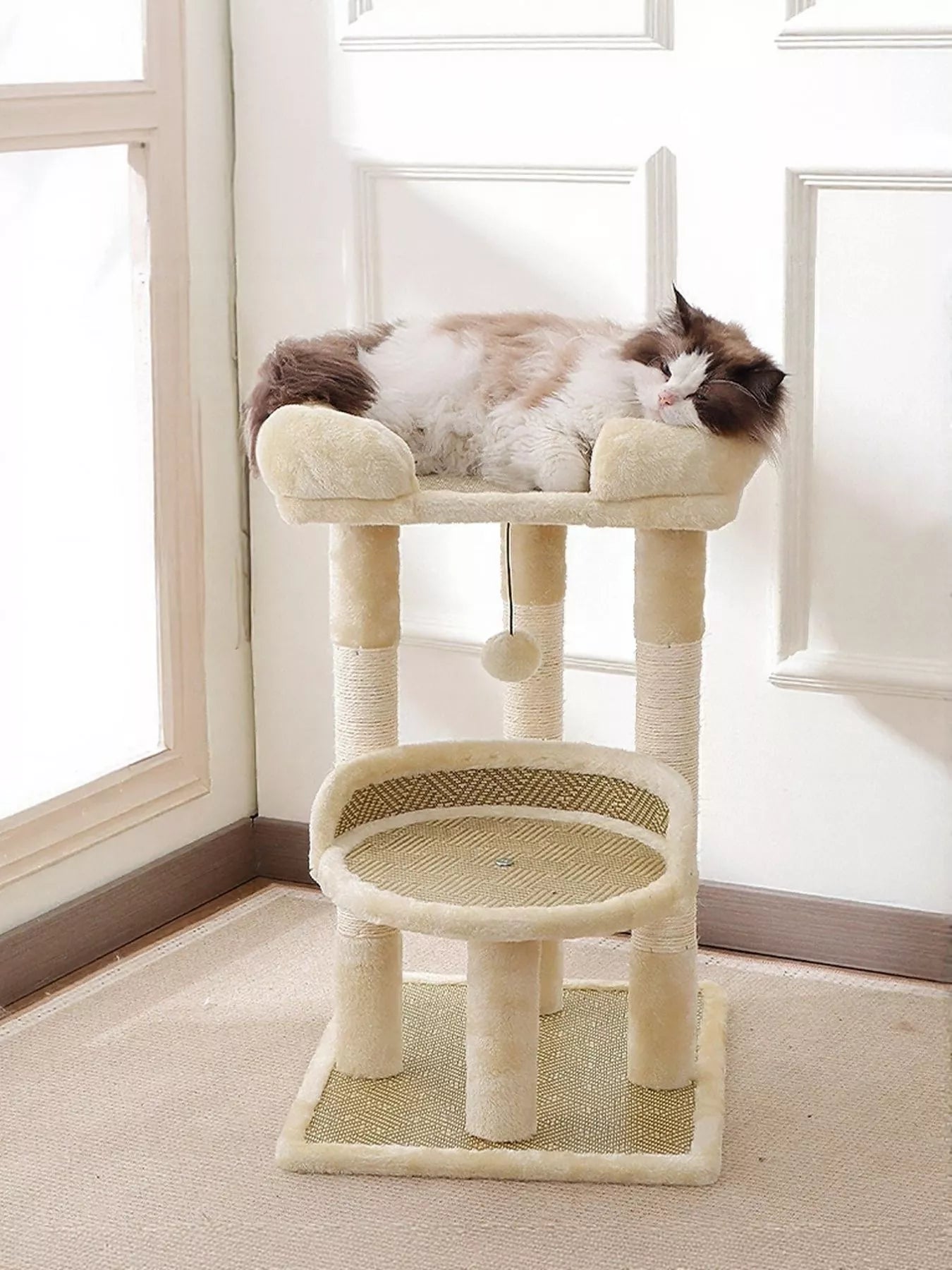 Cream plush cat tree condo with top perch and circular sisal scratching base