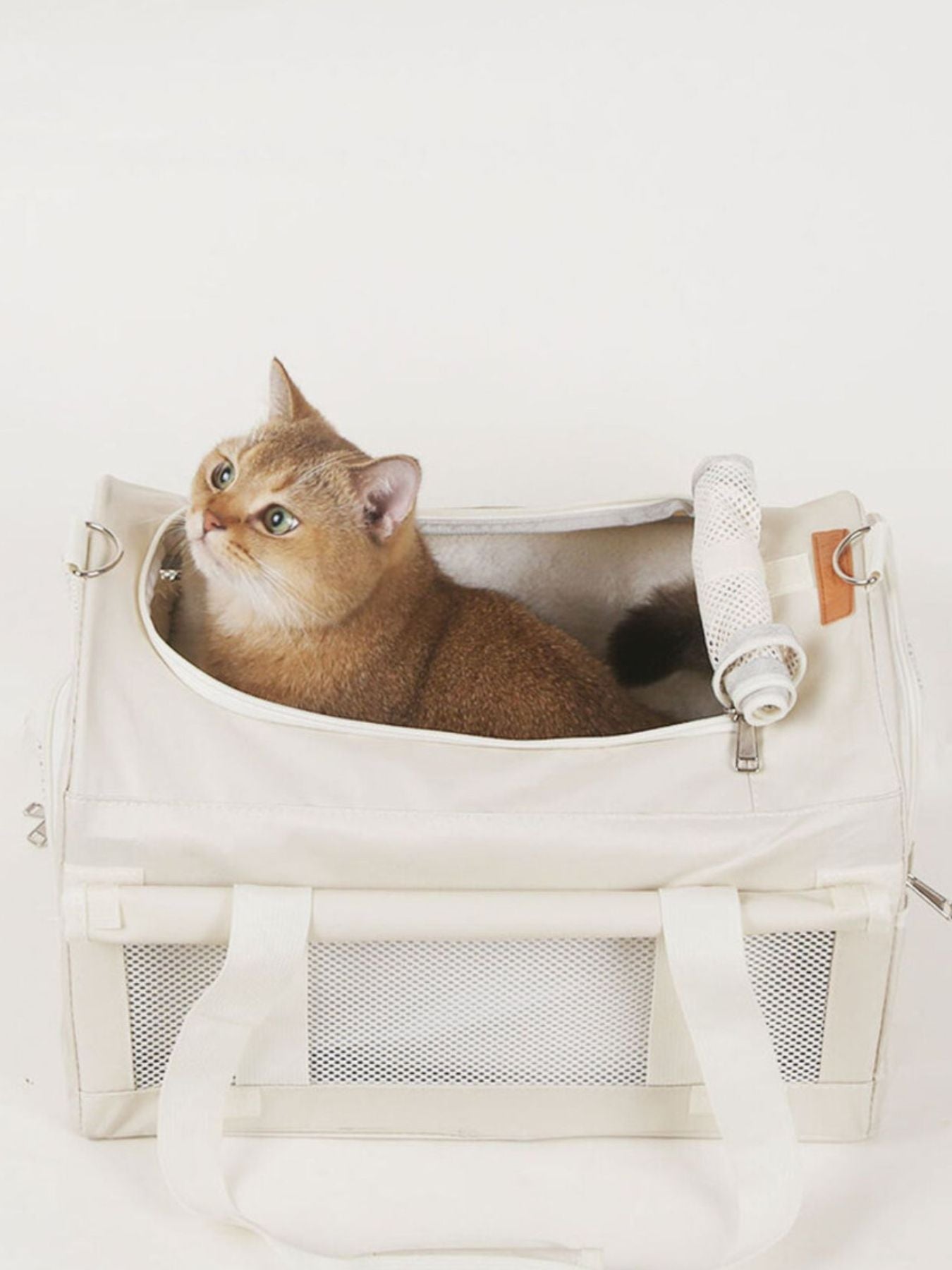 Pet carrier bag with plush liner and handle loops, cat lounging inside, white.