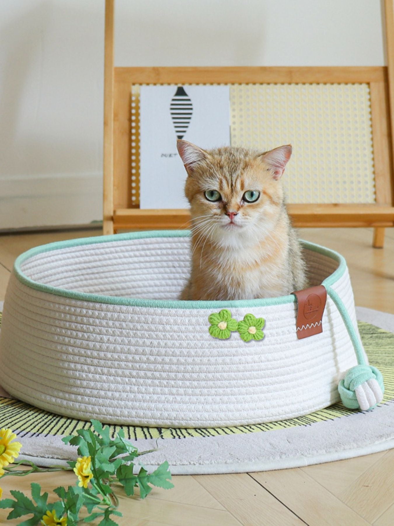 Woven pet nest in white with mint rim and green clover patch; sits open with kitten