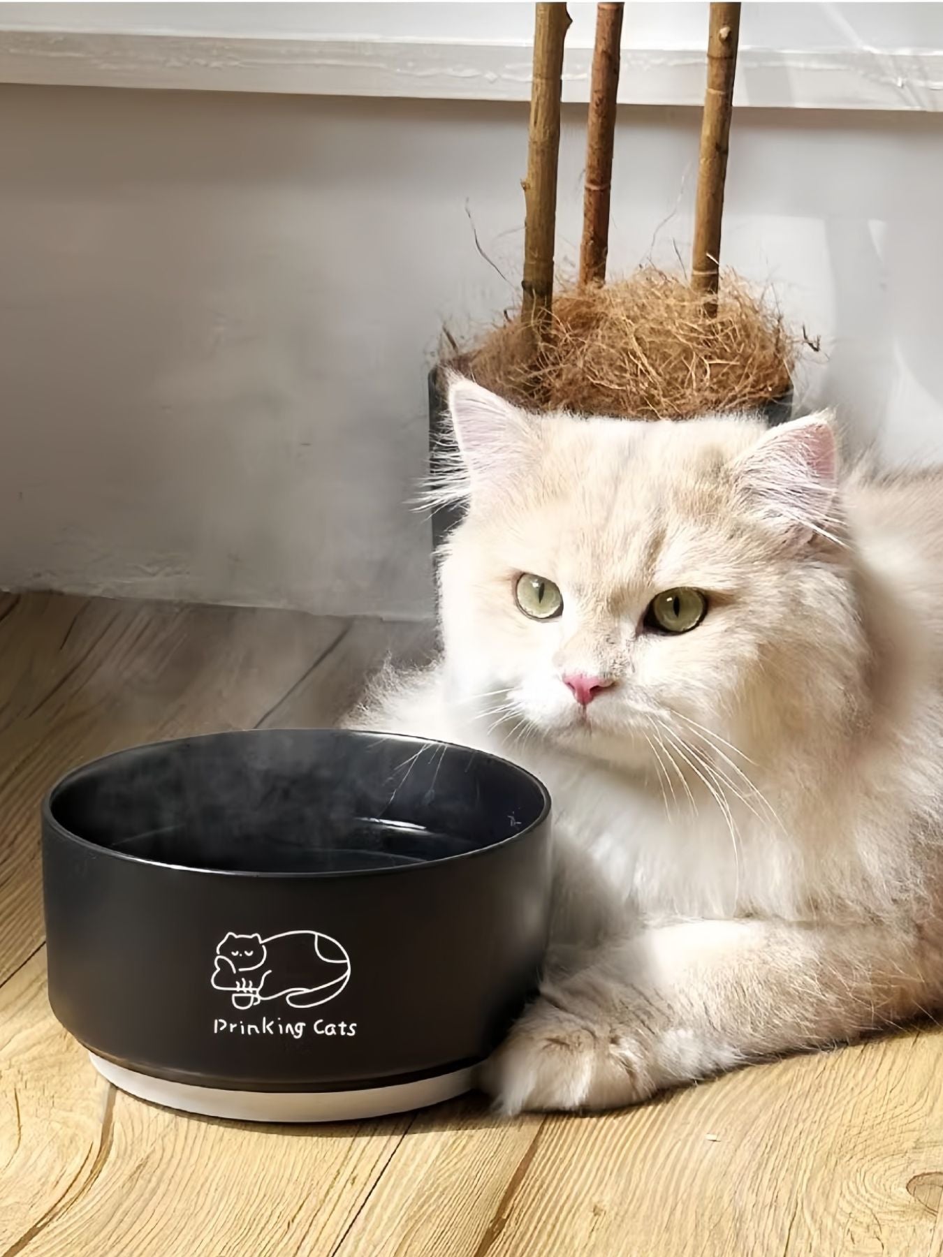 Schwarze Keramik-Fressnapf „Drinking Cats“ mit Katzen-Logo