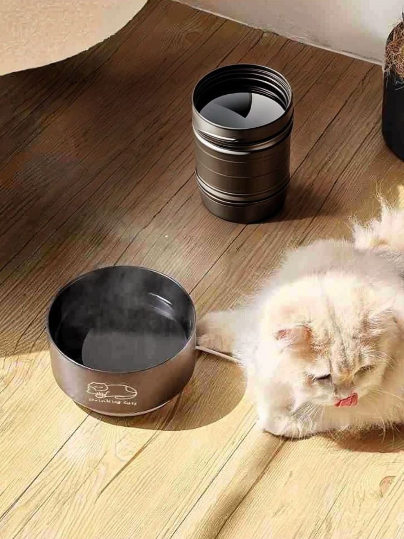 Schwarzer Keramiknapf „Drinking Cats“ am Boden, mit Katzenkopf im Vordergrund
