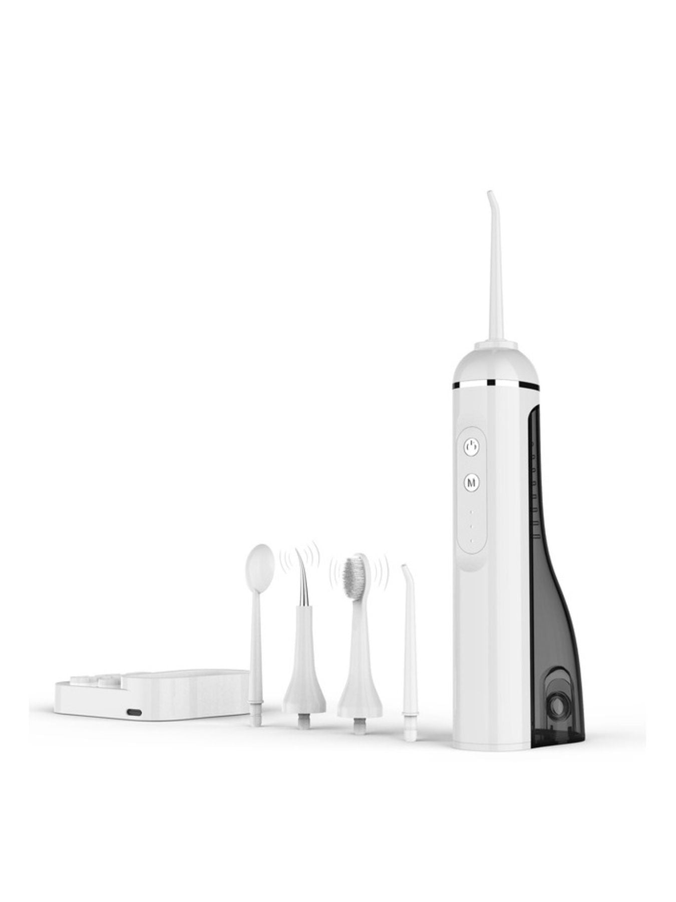 Portable water flosser with base and multiple mounted cleaning tips