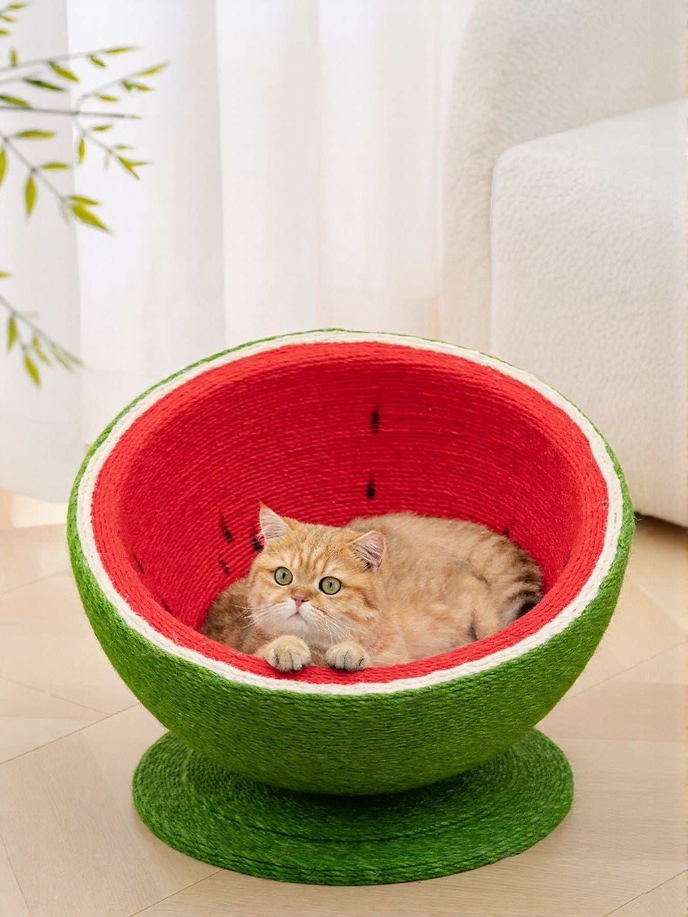 Watermelon cat scratching post nest with cat peeking from red inner bowl