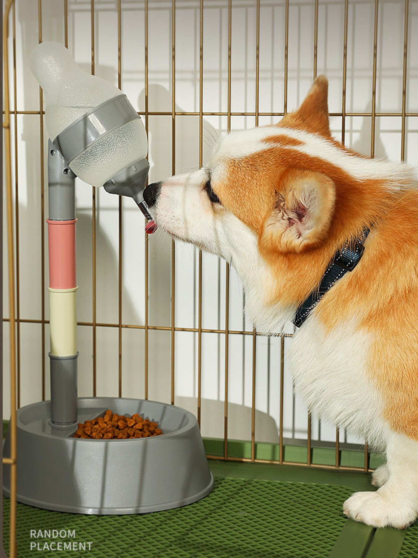 Automatic pet water dispenser bowl with adjustable nozzle, dog drinking in pen