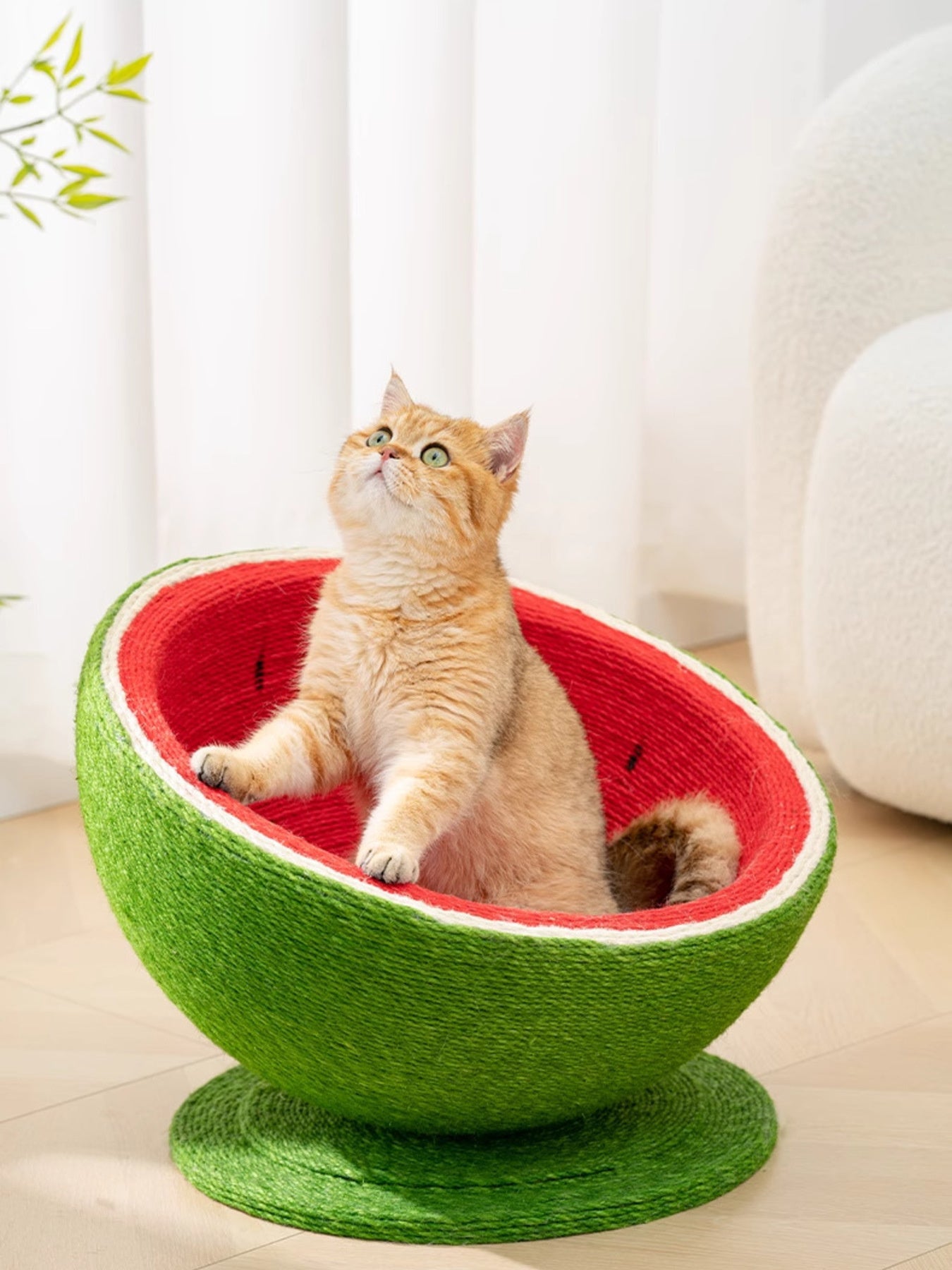 Watermelon cat scratching post nest with cat sitting upright inside red bowl