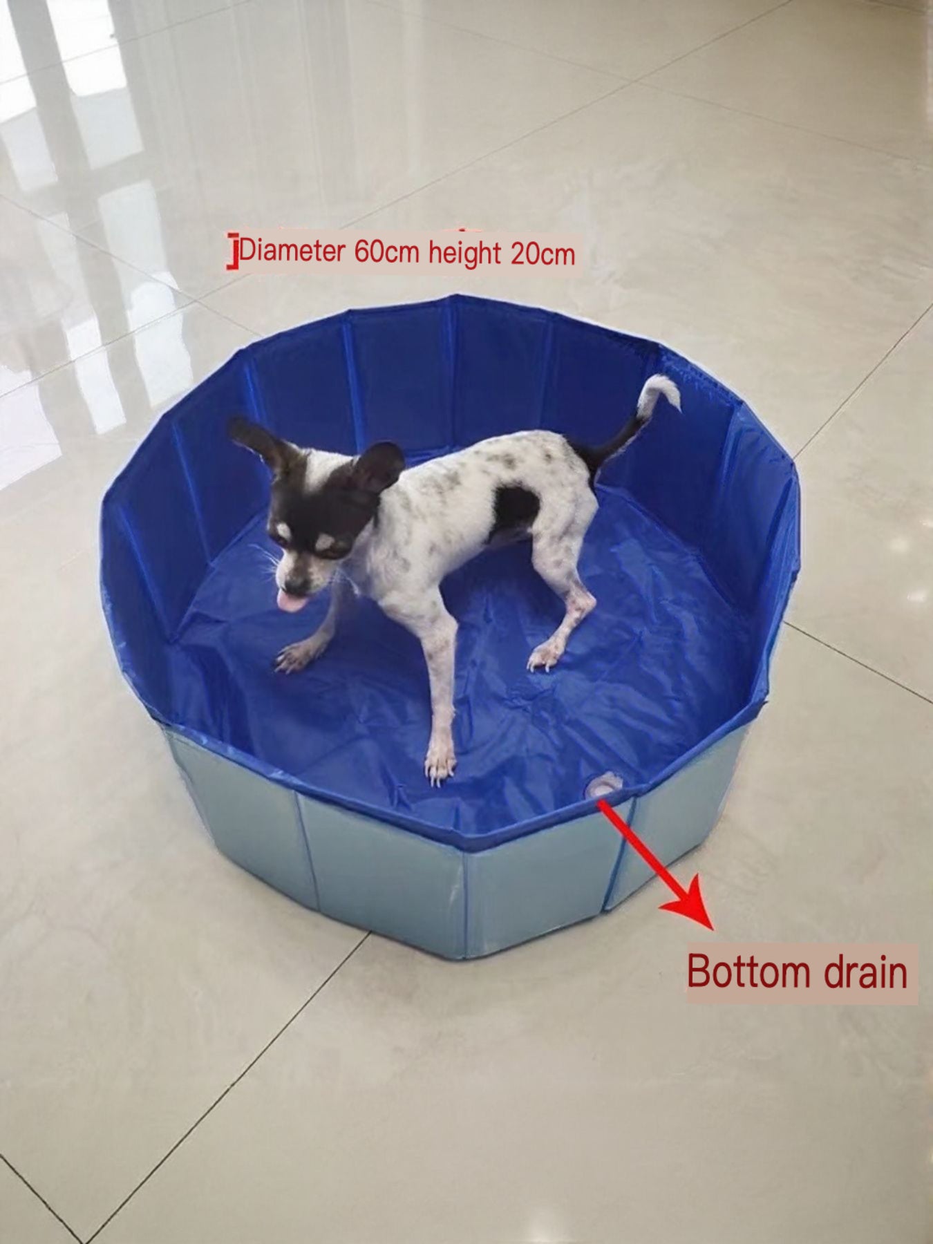 Foldable pet bath pool, blue; 60cm diameter x 20cm height; bottom drain