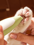 LED rechargeable pet paw trimmer in light green, shown trimming a dog’s paw