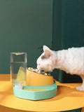 Green automatic water refill pet bowl with water reservoir and raised food dish