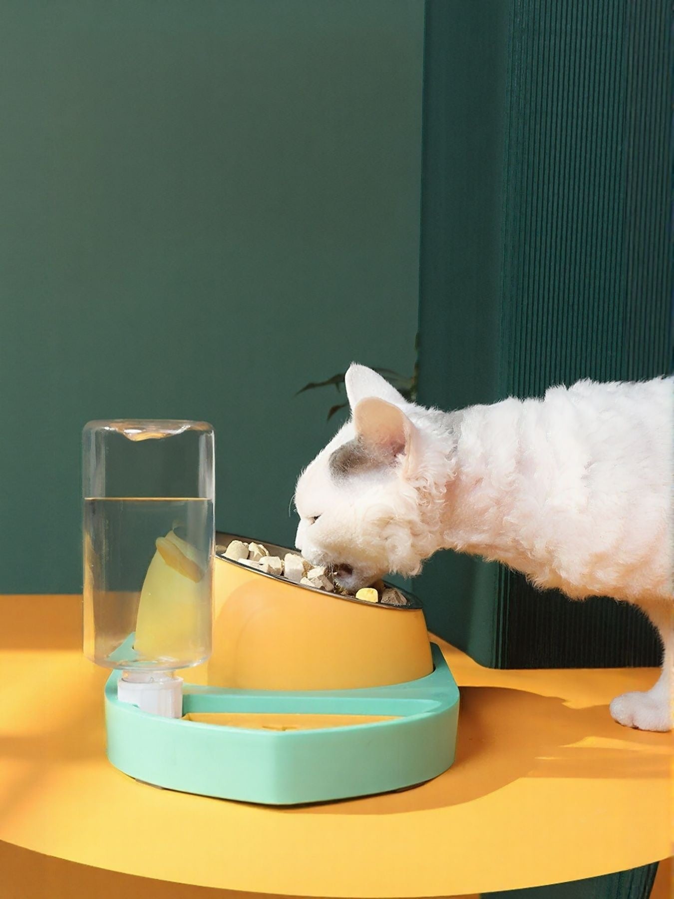 Green automatic water refill pet bowl with water reservoir and raised food dish
