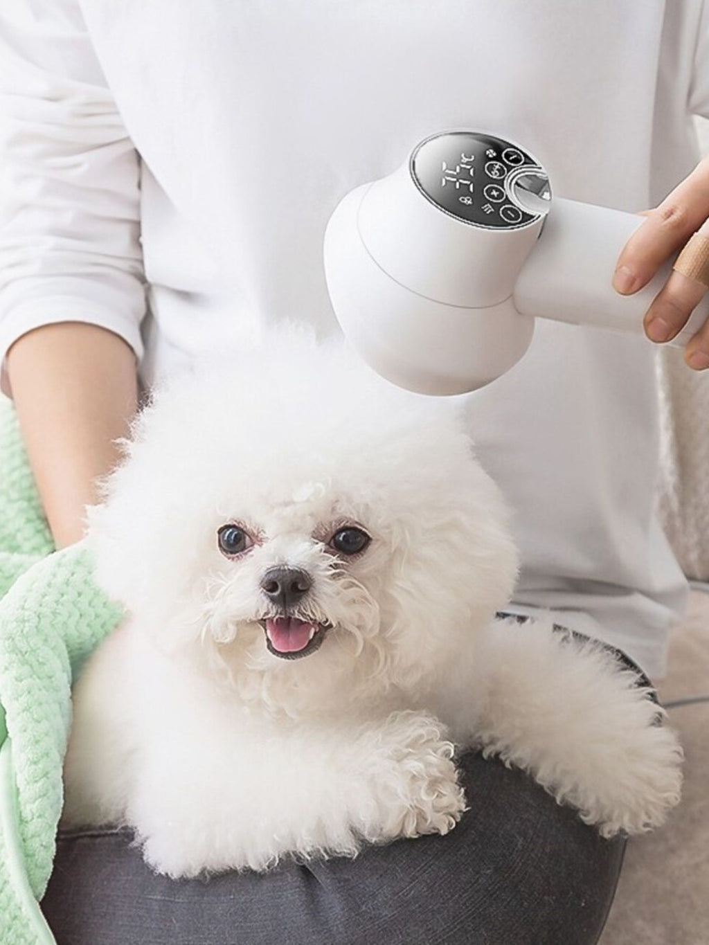 Low Noise Pet Hair Dryer & Comb, white dryer held near small dog