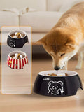 Cute Cartoon Pattern Pet Bowl, black with bear icon and Lucky text