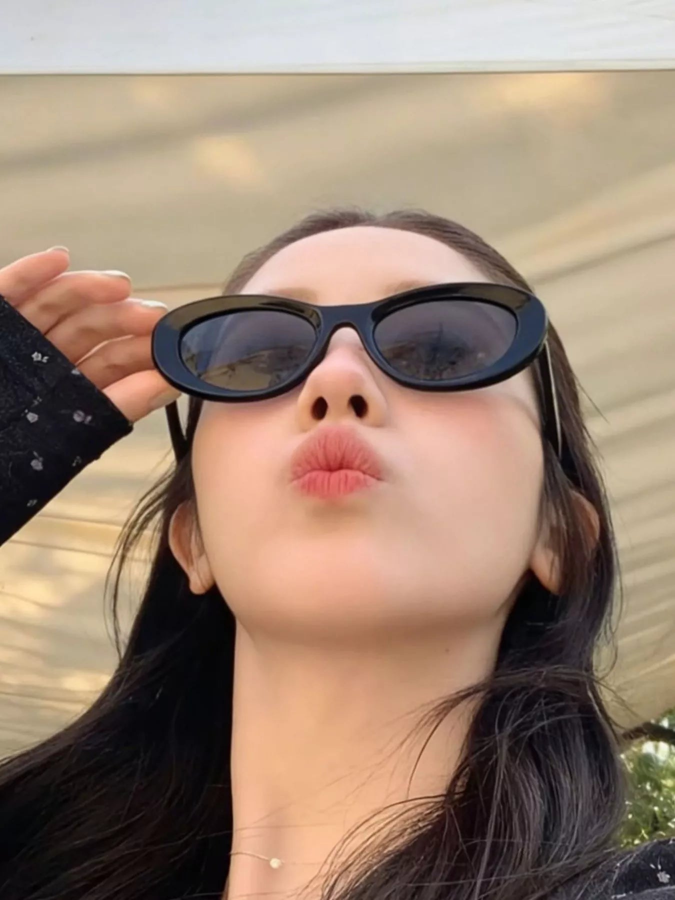 Cat-eye sunglasses, dark frame and tinted lenses