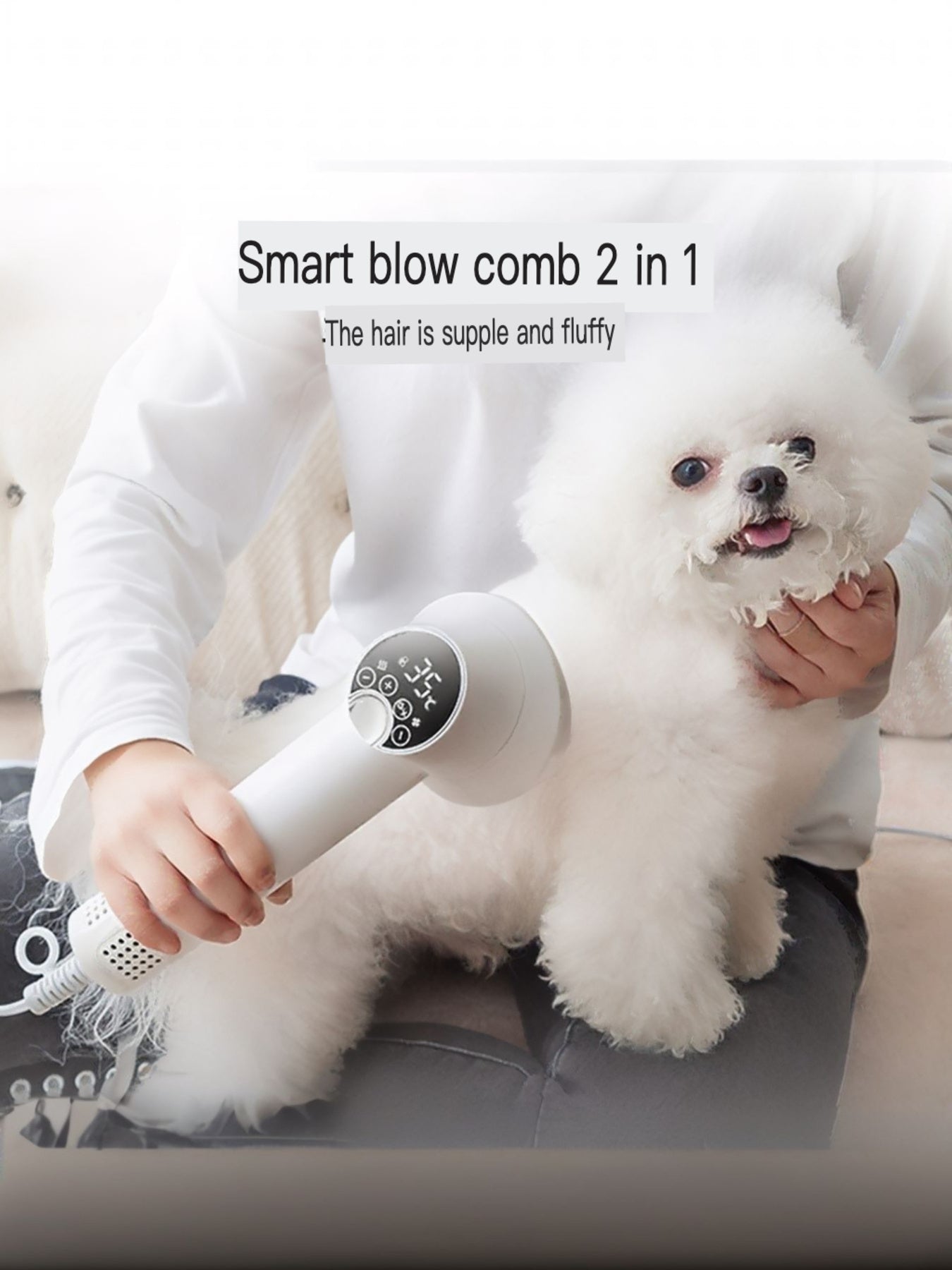 Low Noise Pet Hair Dryer & Comb, white blow-and-comb nozzle with pet dog