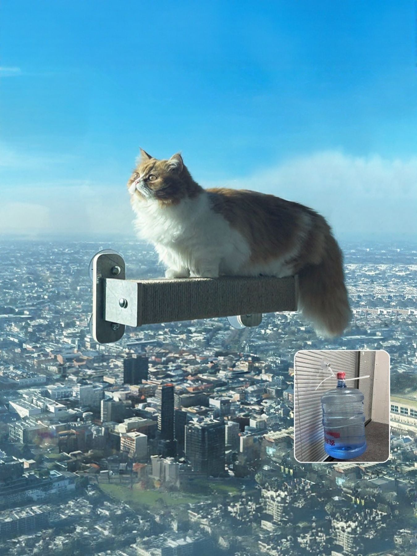 Window-mounted scratching perch with grey base and hanging cat, plus small water dispenser