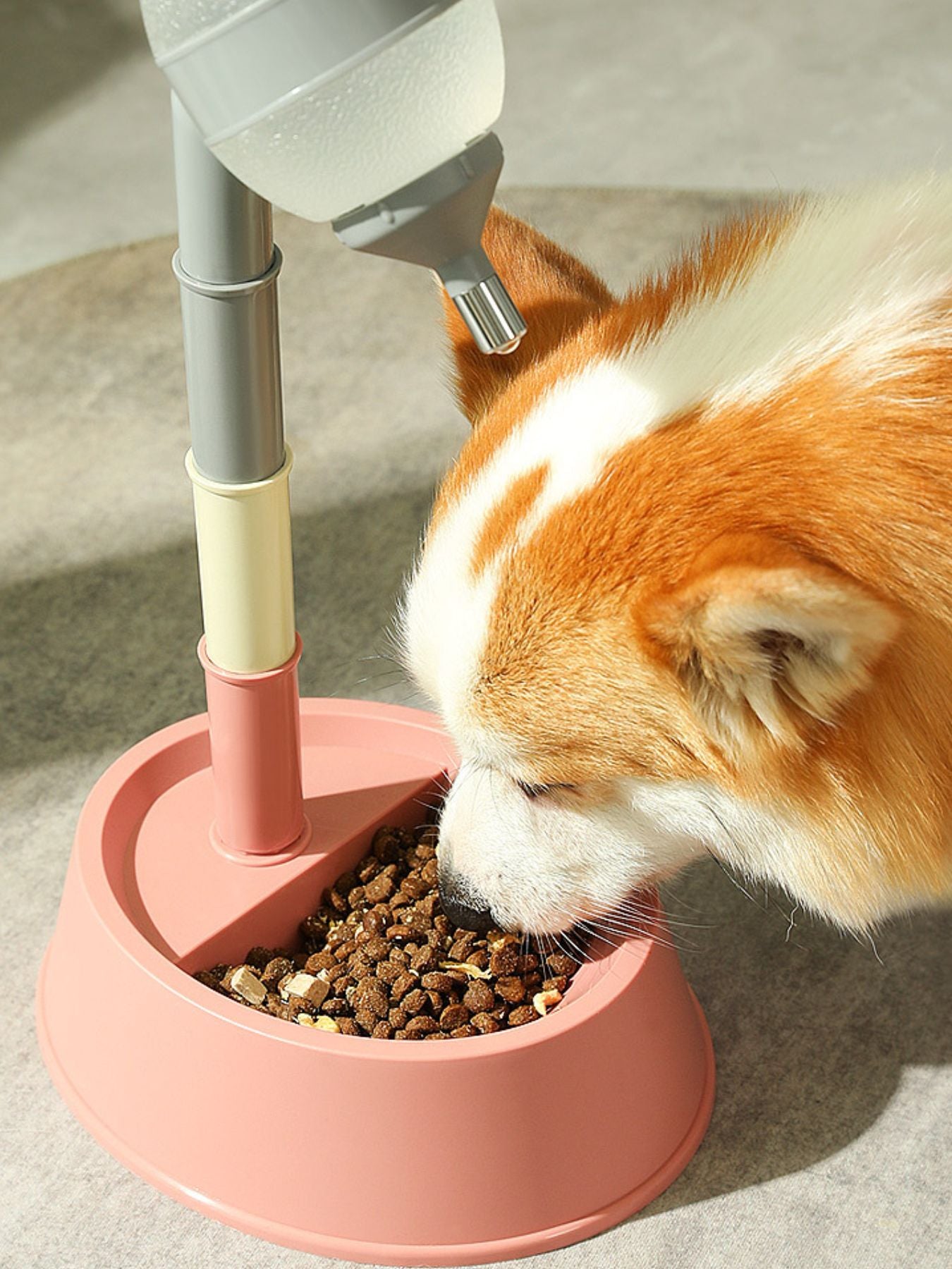 Pink pet water dispenser bowl with dry food, dog eating from the bowl