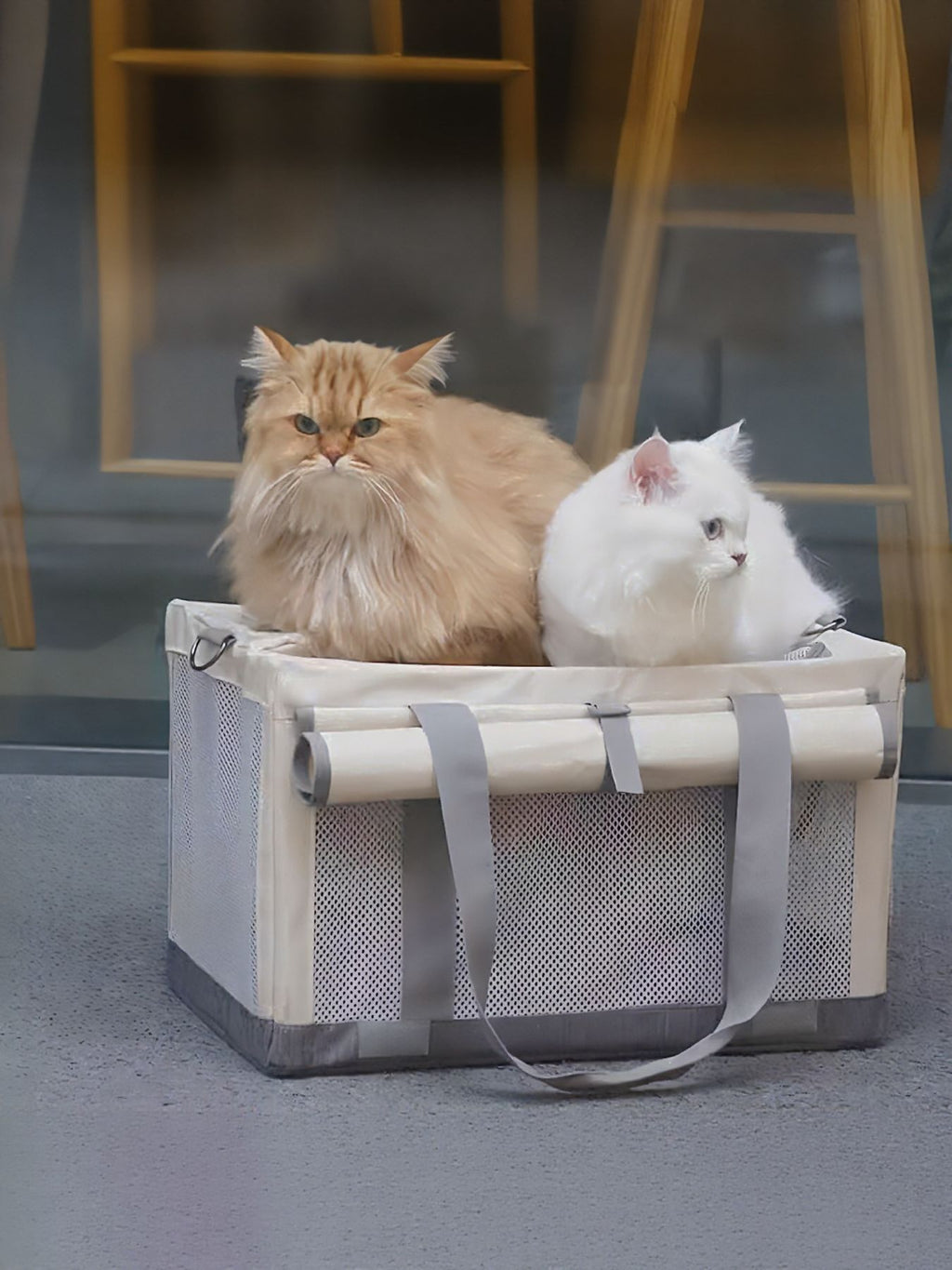 Portable pet carrier bag in gray with front mesh panel and two carry straps.