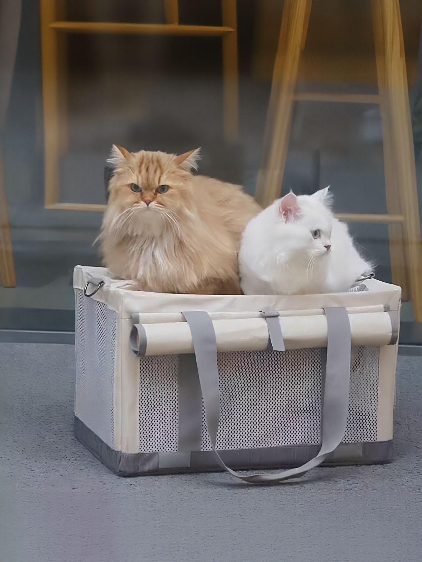 Portable pet carrier bag in gray with front mesh panel and two carry straps.