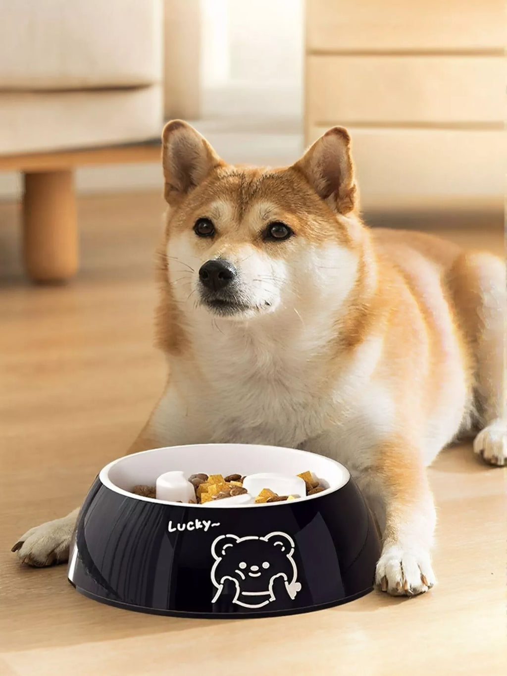 Cute Cartoon Pattern Pet Bowl, black with bear icon and Lucky wording