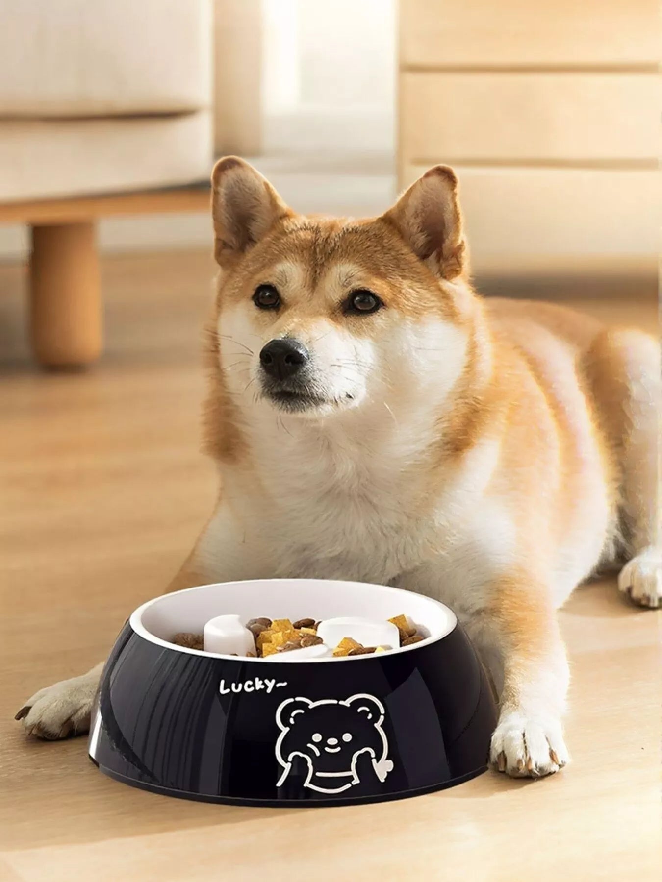 Cute Cartoon Pattern Pet Bowl, black with bear icon and Lucky wording