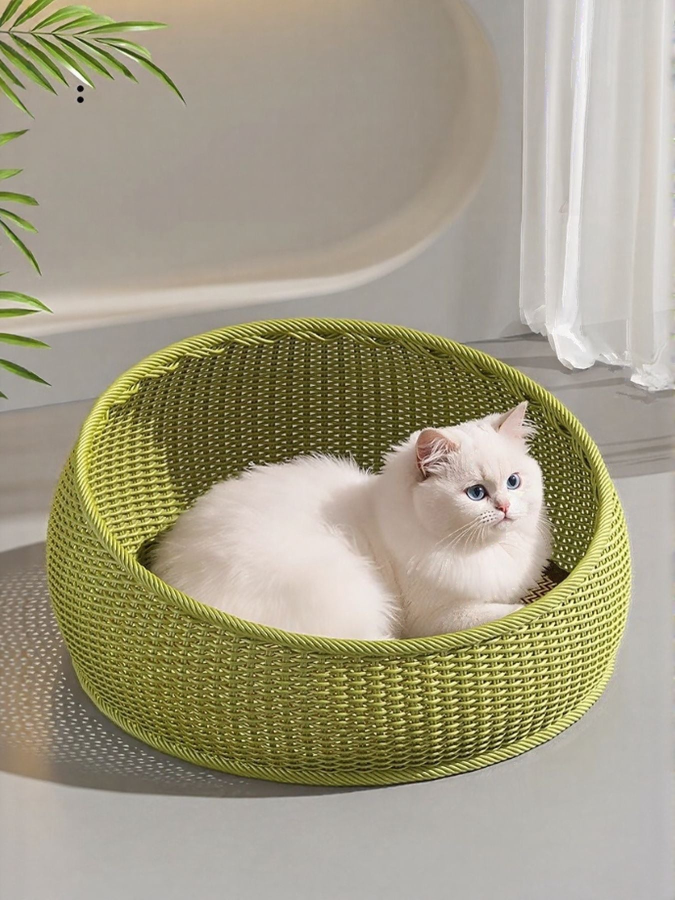 Green round woven rattan pet nest with white cat inside