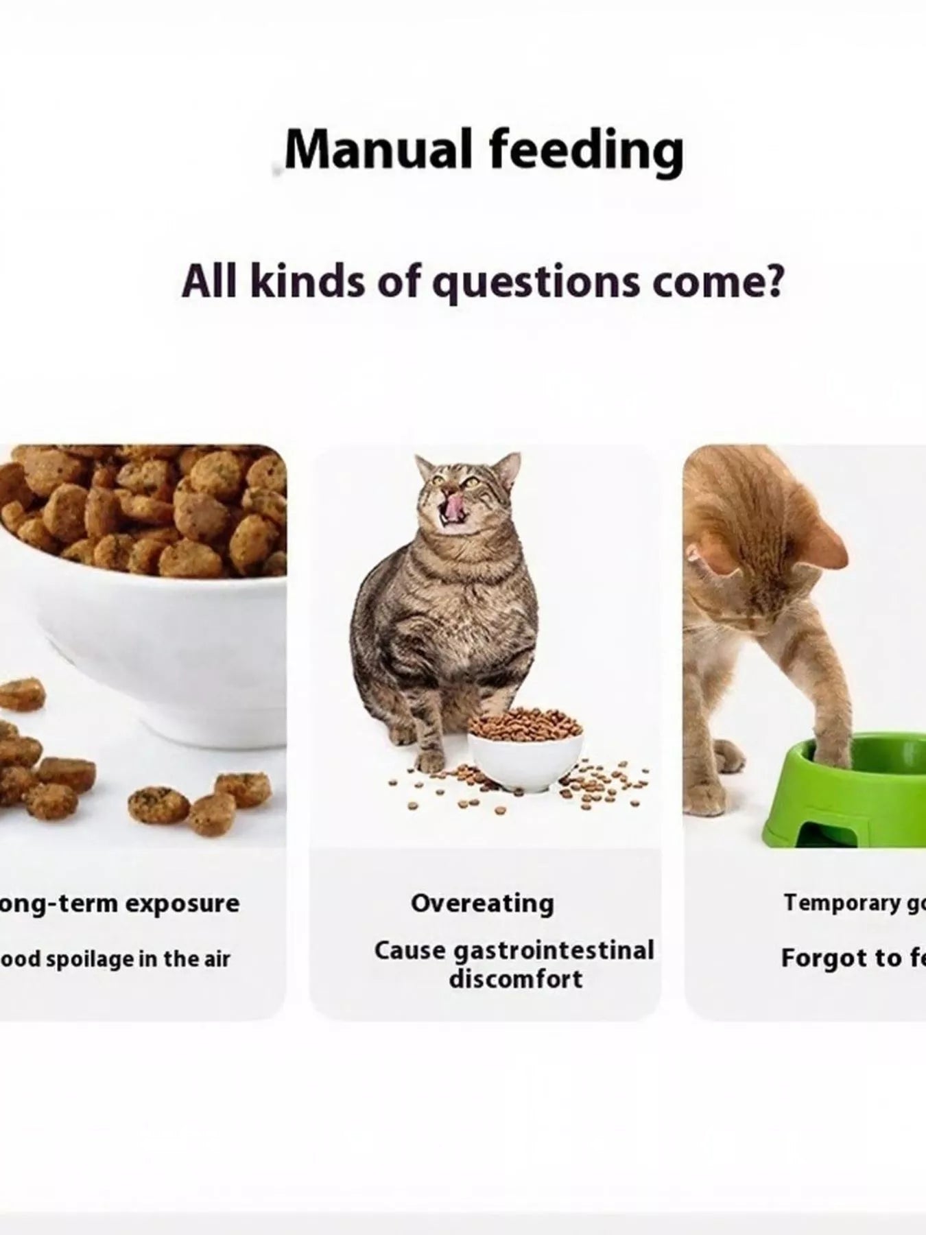 Automatic pet feeder safety infographic on manual feeding and pet overeating risks