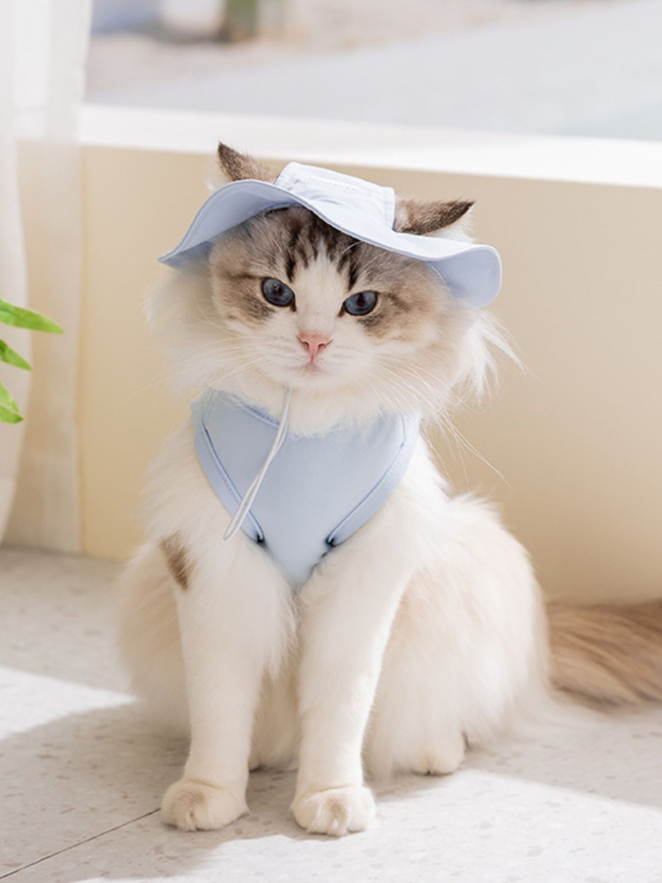Cartoon Pet Tank with hat, light blue, cat face design