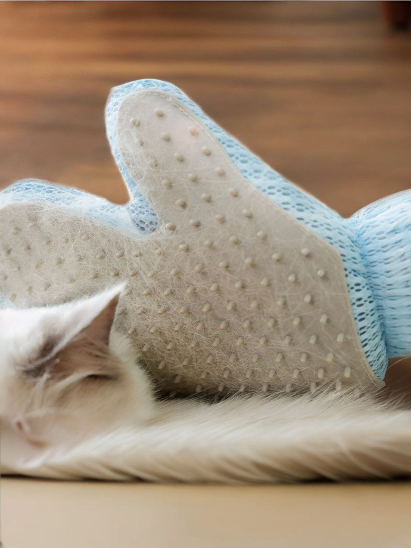 Close-up: blue pet hair remover glove with raised bristle dots