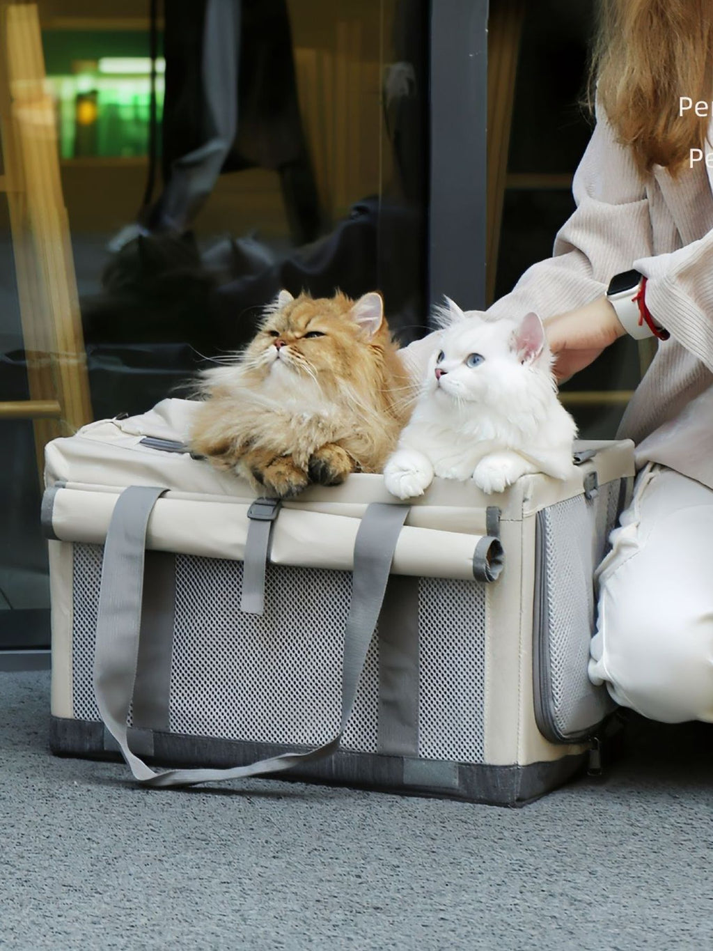 Gray portable breathable pet carrier bag with mesh sides and top handles, open for cats.