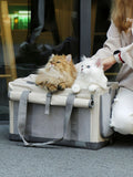Gray portable breathable pet carrier bag with mesh sides and top handles, open for cats.