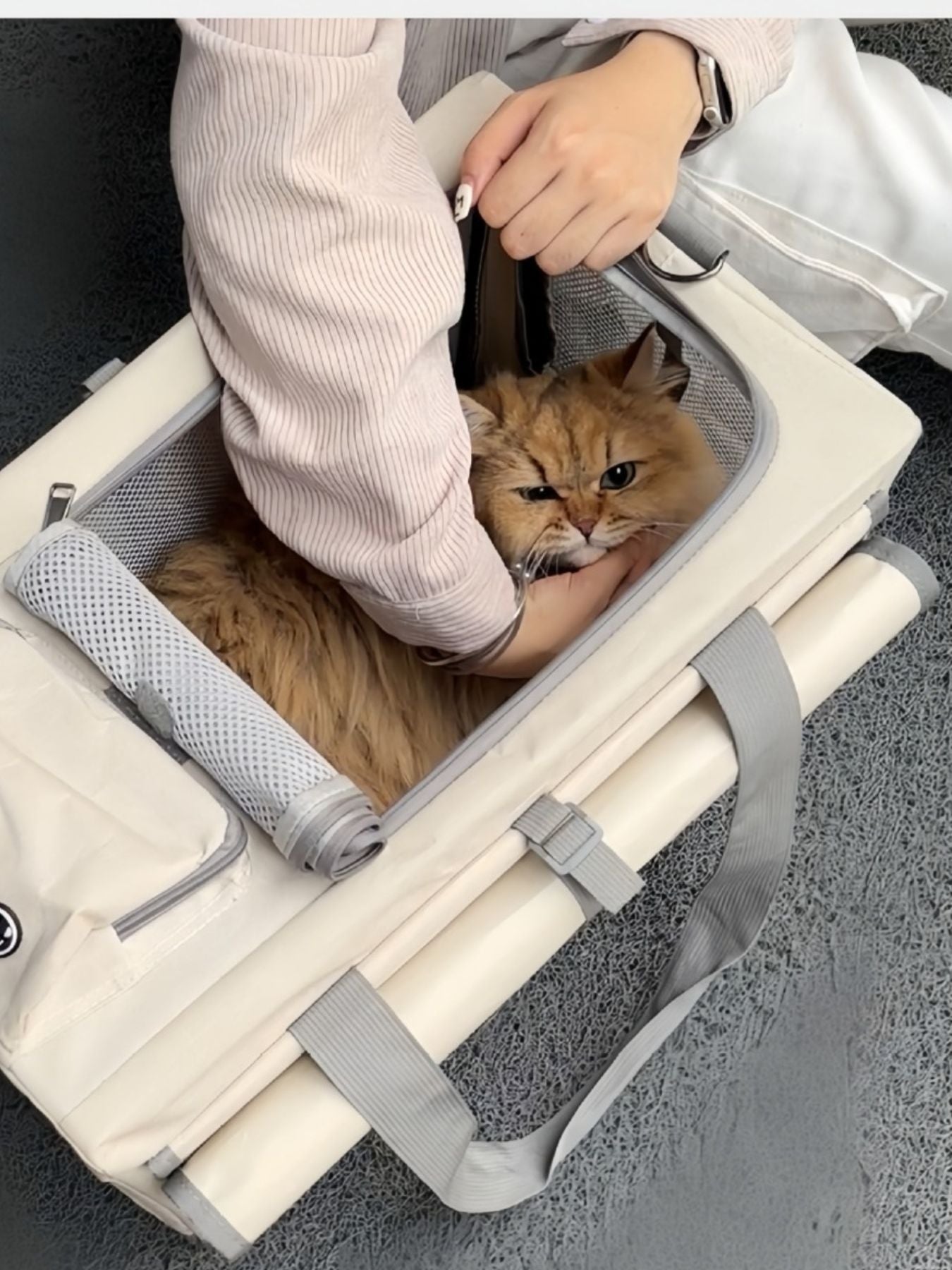Gray portable pet carrier bag on the car seat with side mesh window and top handle.