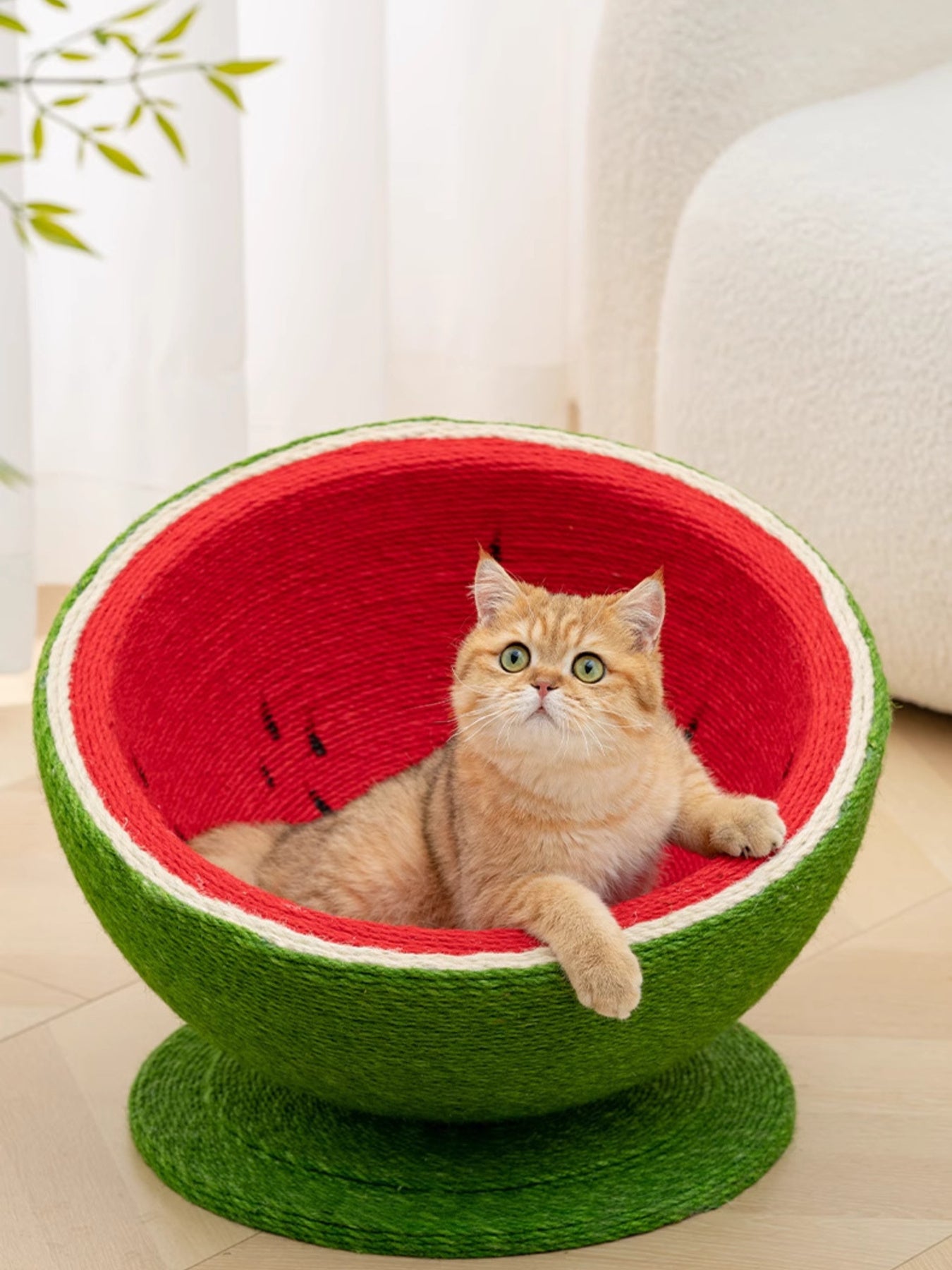 Watermelon cat scratching post nest with cat lying inside red bowl