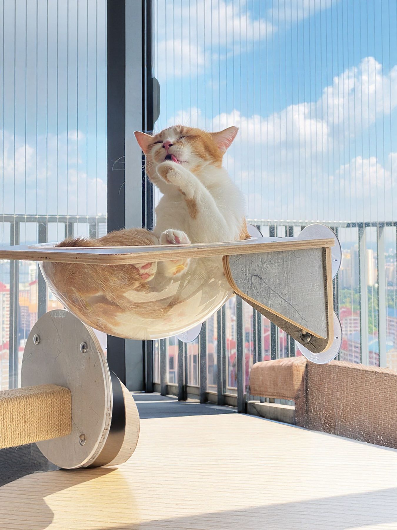 Window-mounted cat hammock with wood frame and cat resting on fabric sling
