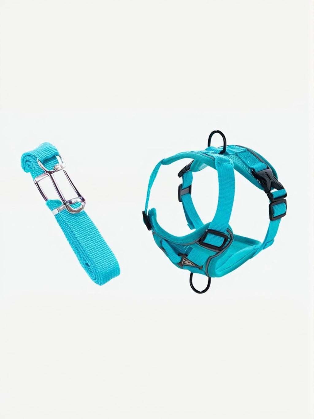 Lake blue harness and leash set, buckles and metal clips shown