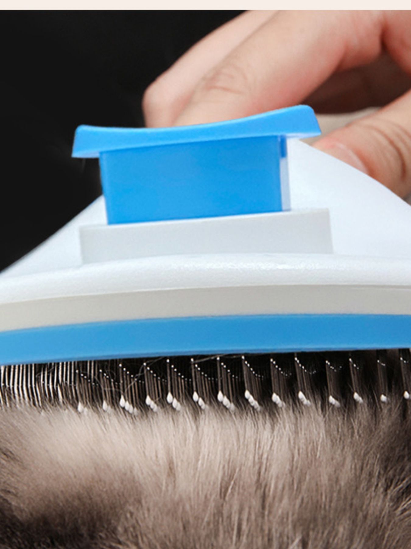 Blue pet hair remover comb close-up: oval plastic head with metal bristles