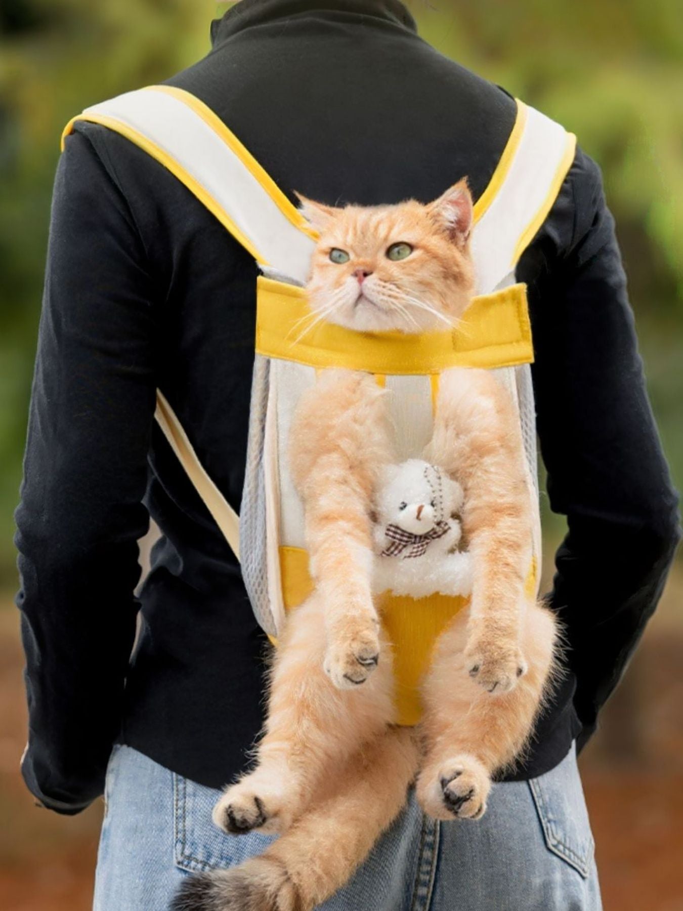 Yellow pet carrier front pack with bear plush on chest, cat looking out