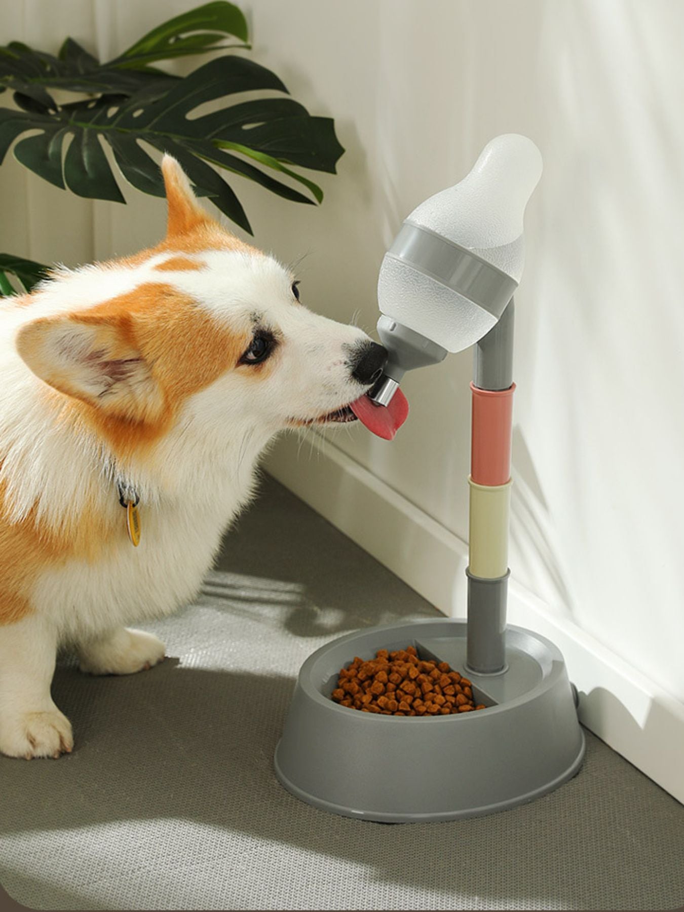 Automatic water dispenser pet bowl, gray base and pink stem, dog drinking