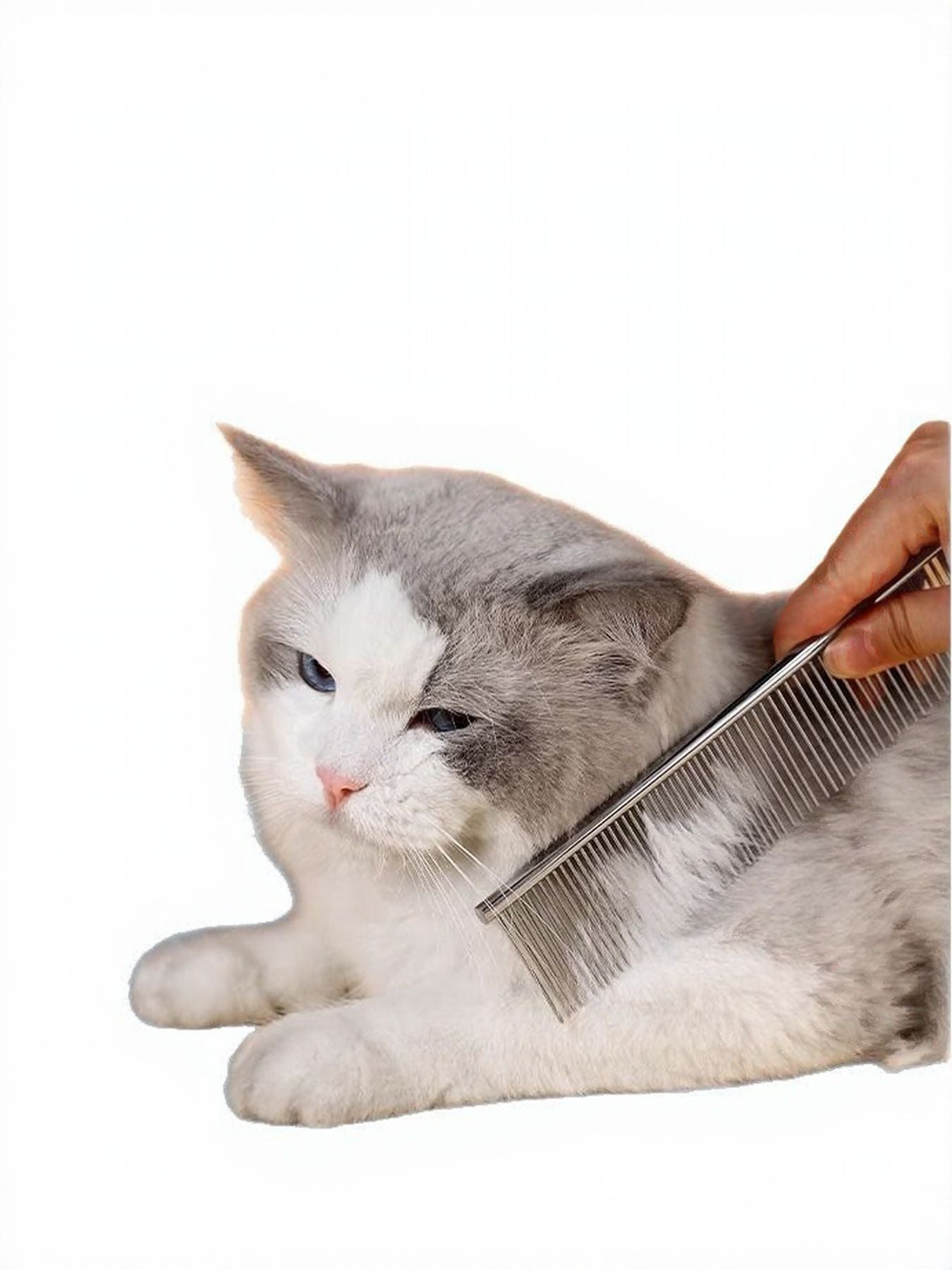 Pet grooming comb with metal fine teeth, held while brushing a cat