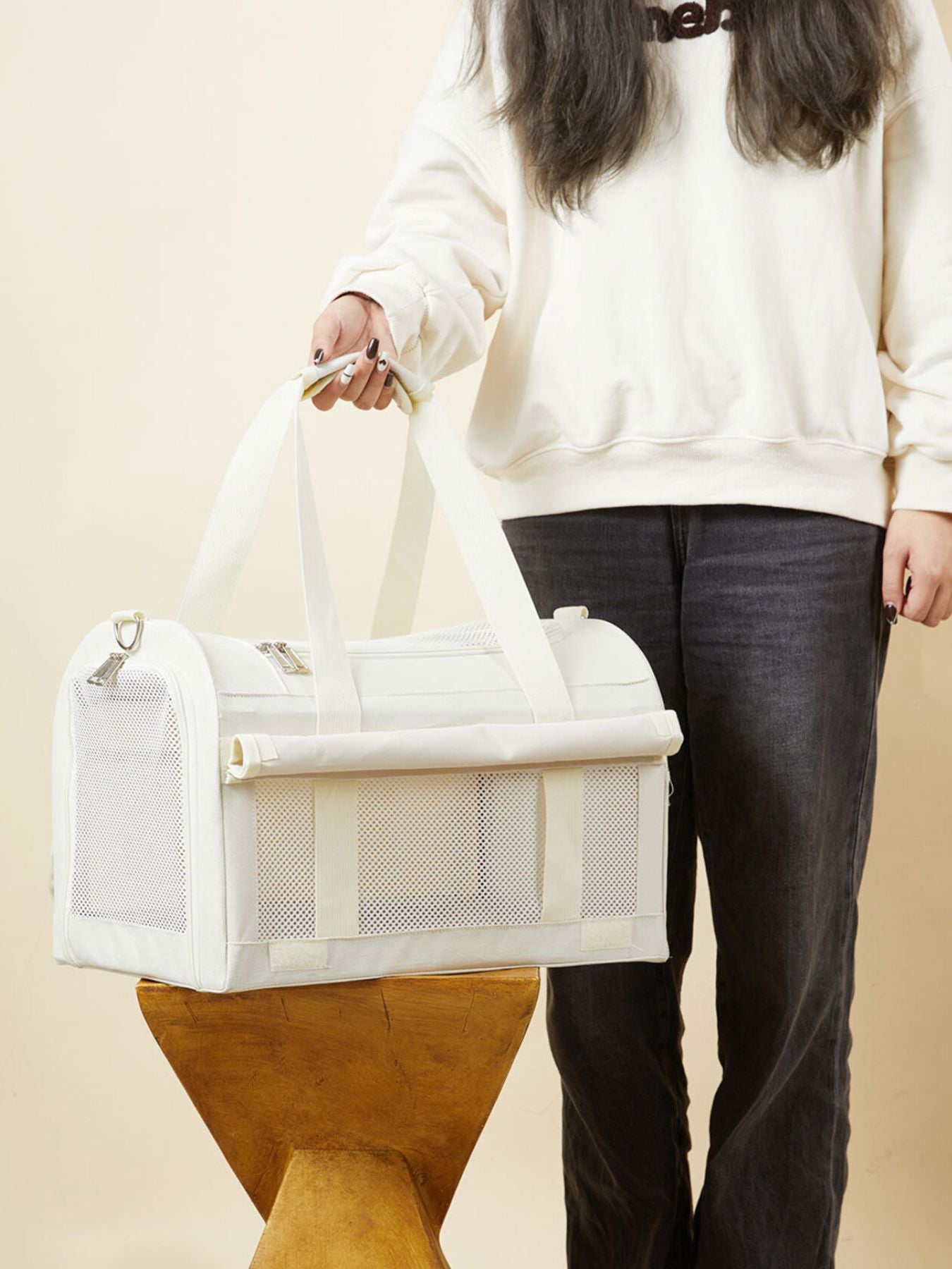 Pet carrier bag held by handle; front mesh window and zip access door