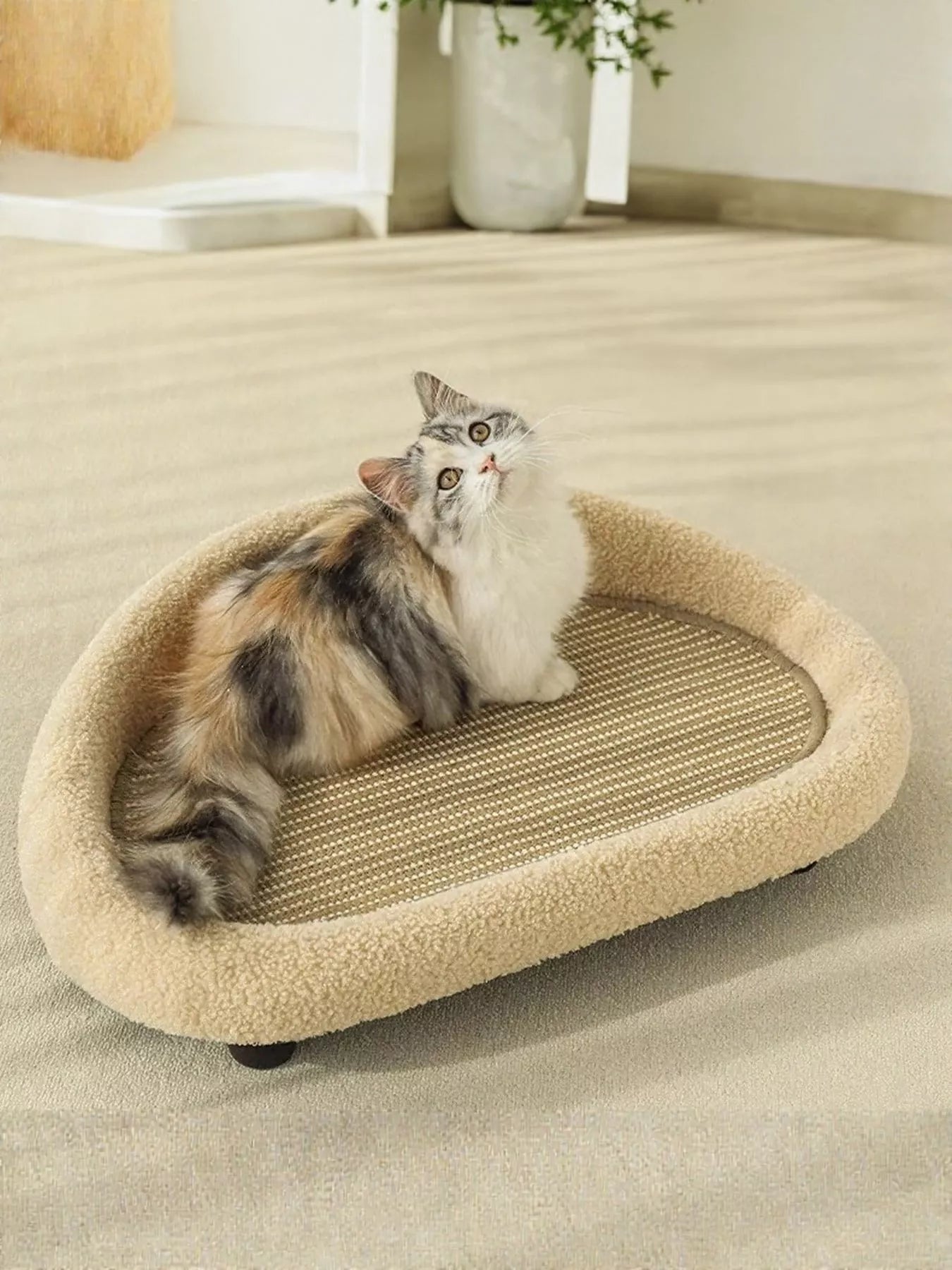 Tan Soft Cat Scratching Post Bed with oval sisal scratching insert, cat relaxing