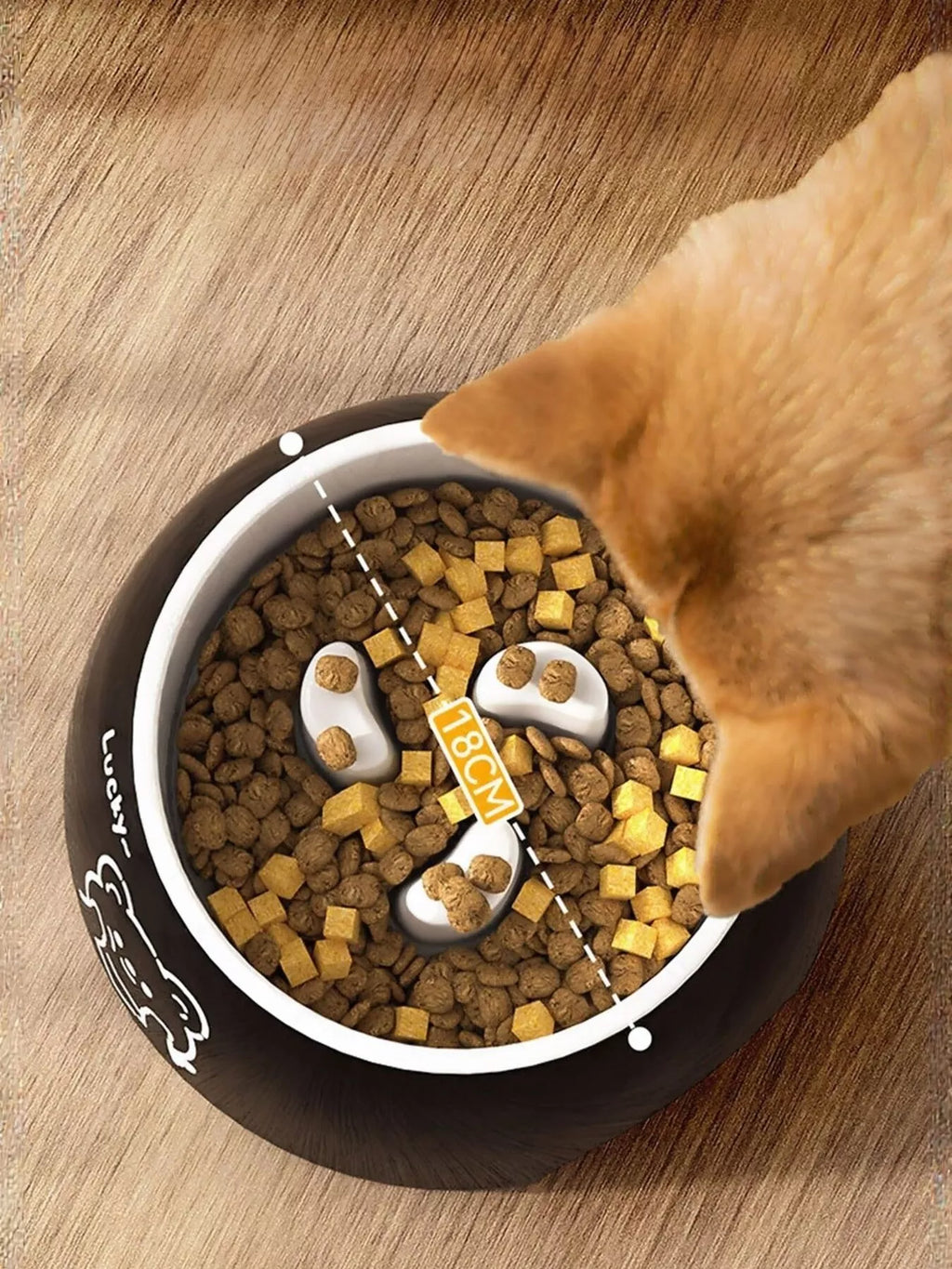 Top view of black pet bowl with bear illustration and food pieces