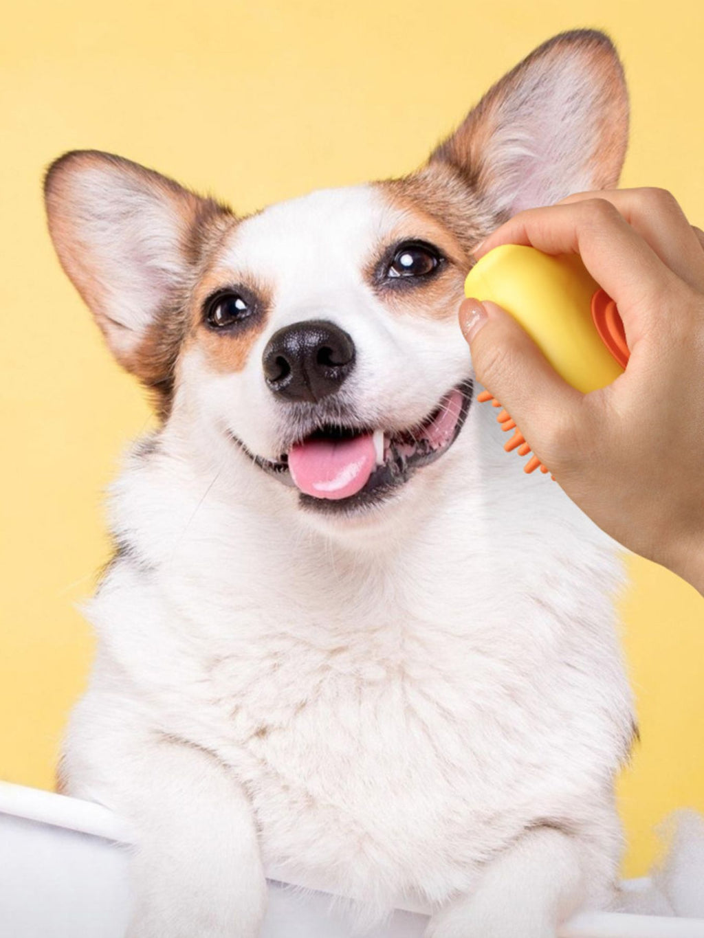 Dog being brushed with yellow pet shower brush, orange bristles at the neck