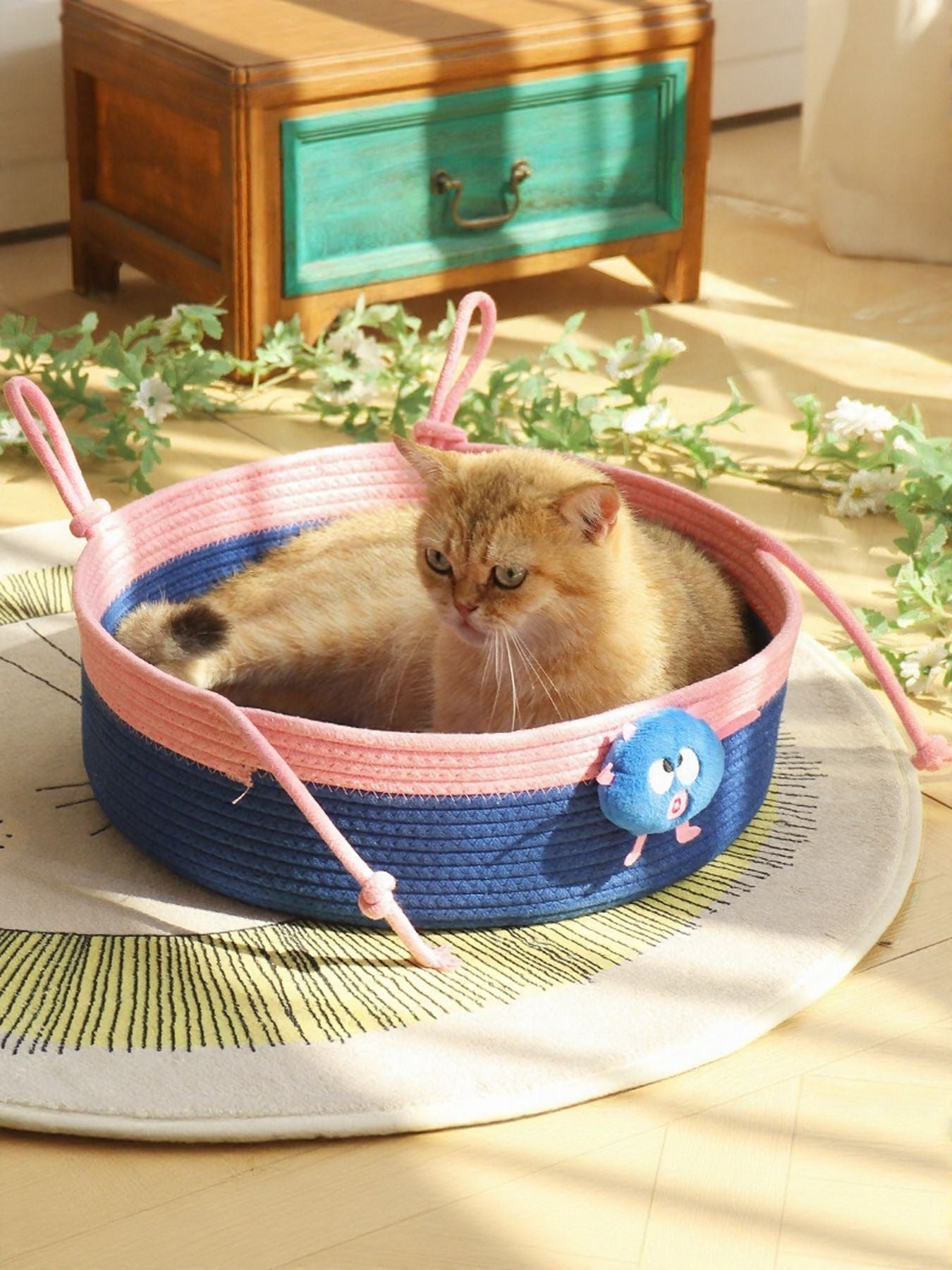 Two-tone woven pet nest, blue interior with pink edge, holding a sleeping cat