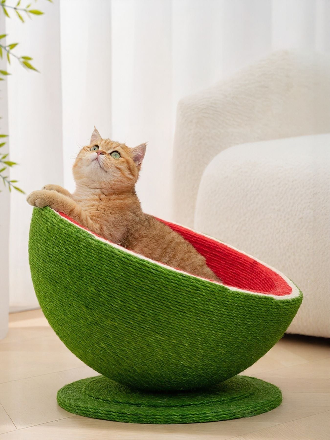 Watermelon cat scratching post nest with cat lounging over the rim of red bowl
