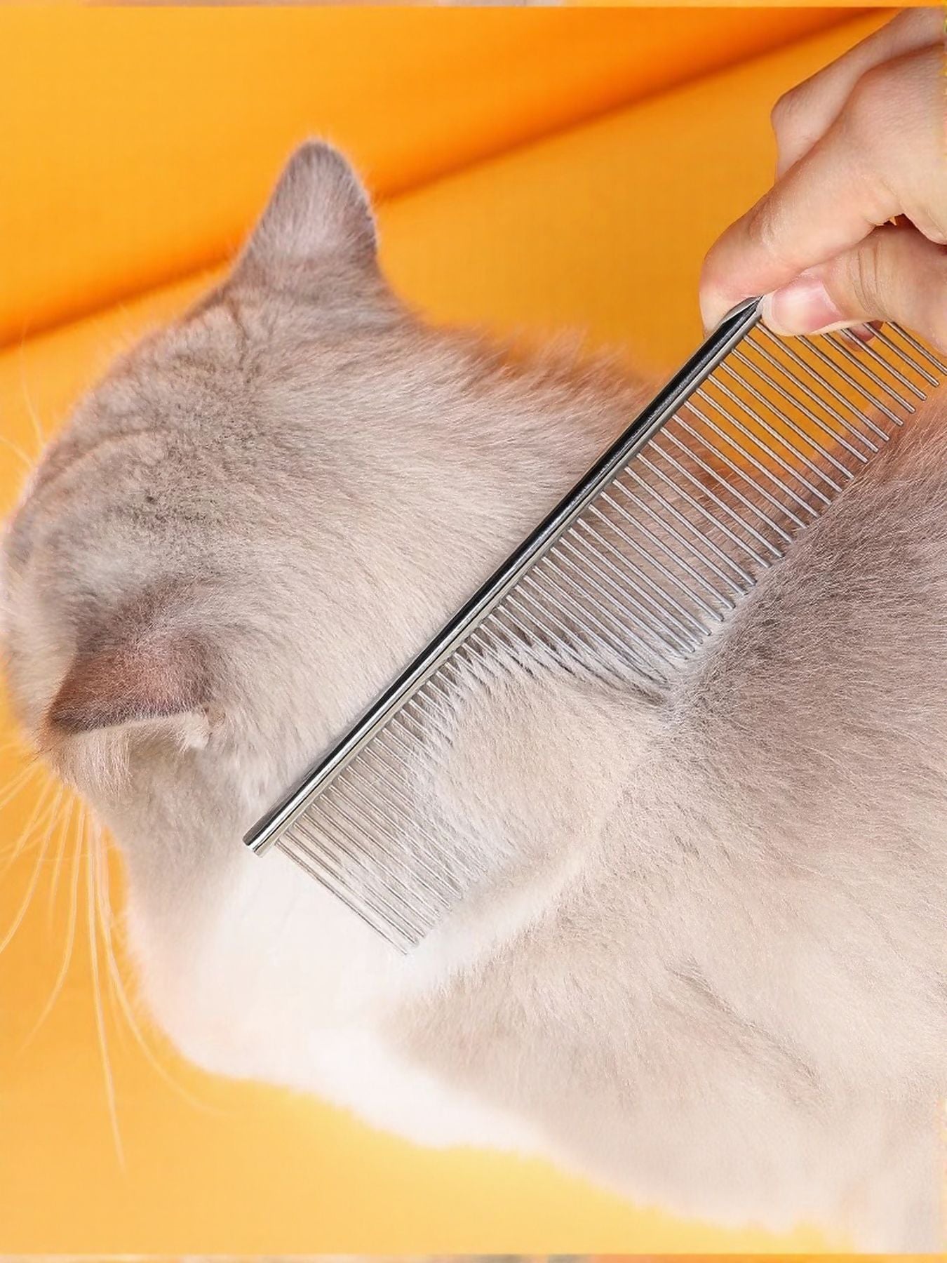 Stainless steel pet grooming comb on cat fur, fine teeth for removing hair