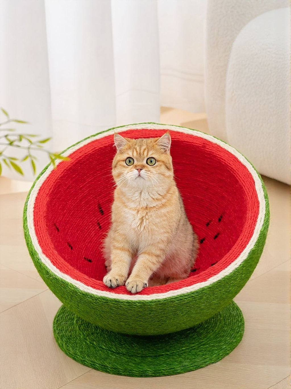 Watermelon cat scratching post nest with cat sitting in red inner bowl