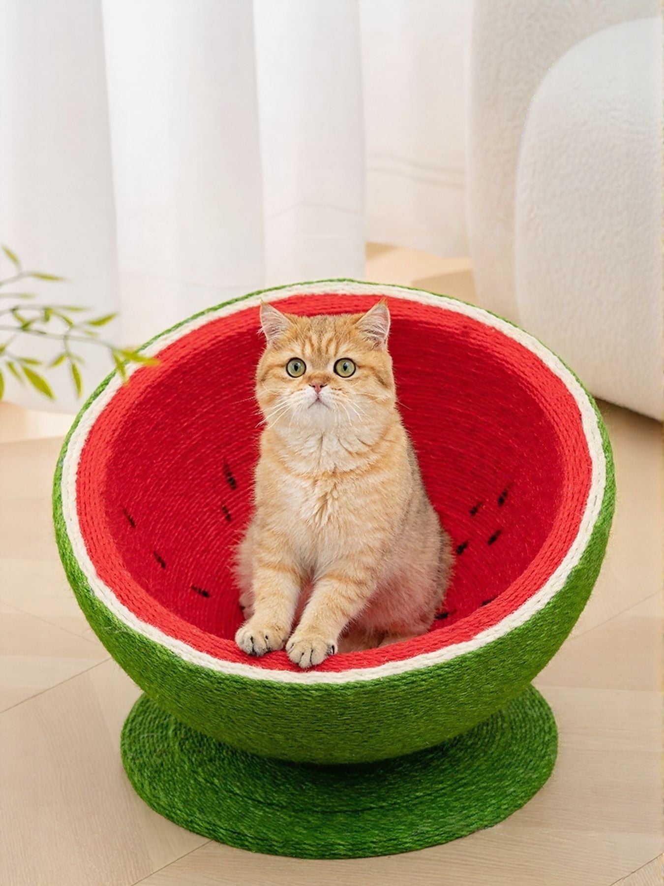 Watermelon cat scratching post nest with cat sitting in red inner bowl