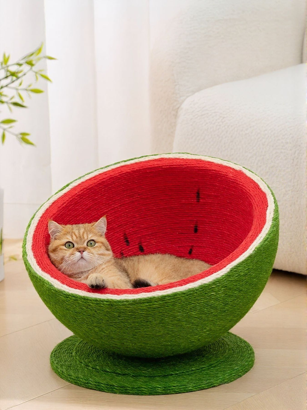 Watermelon cat scratching post nest with cat lying in red inner bowl