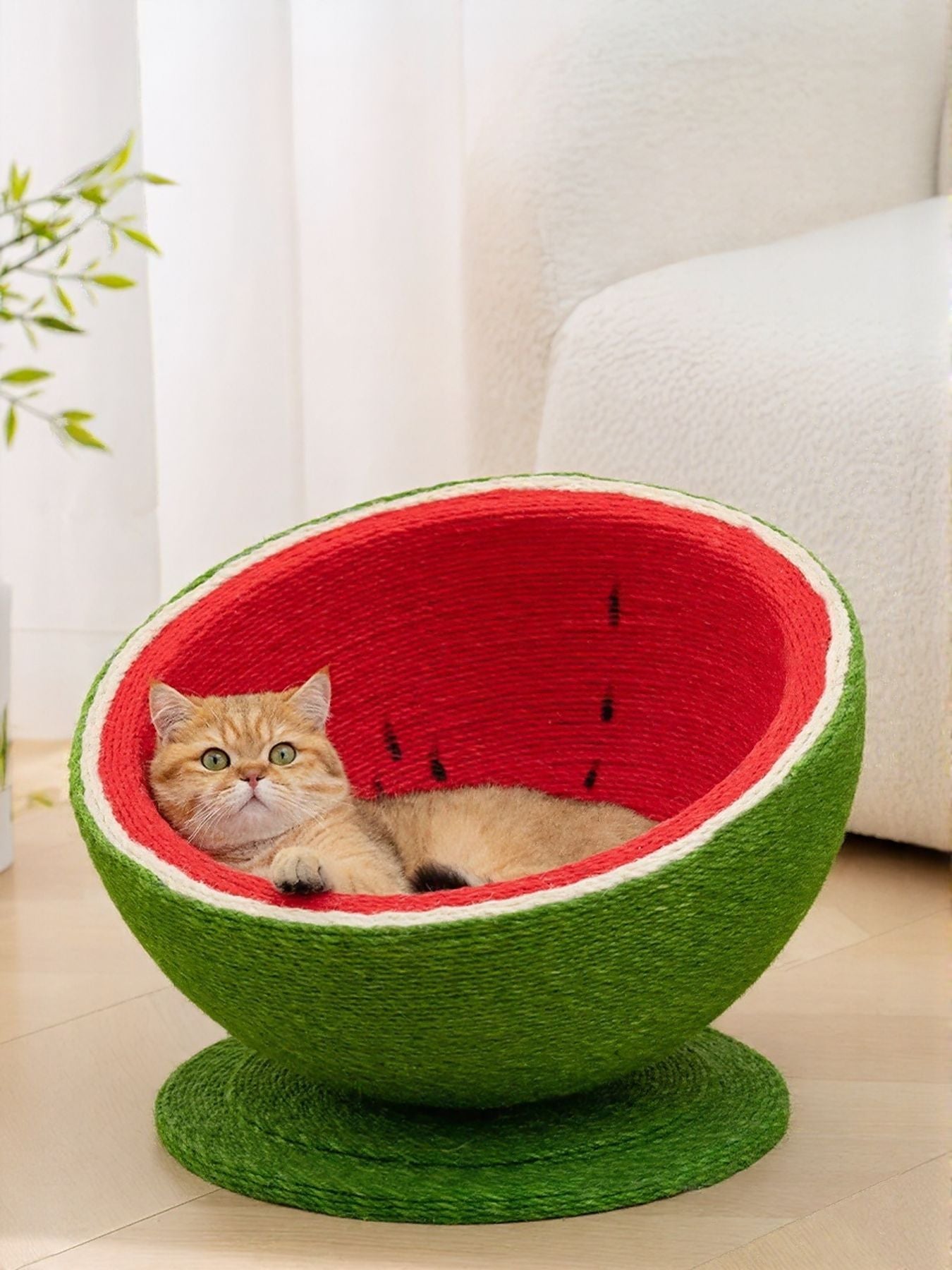 Watermelon cat scratching post nest with cat lying in red inner bowl